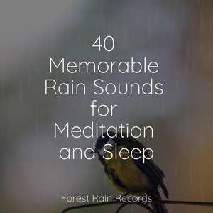 40 Memorable Rain Sounds for Meditation and Sleep album