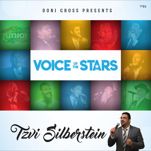 Z'man by Tzvi Silberstein