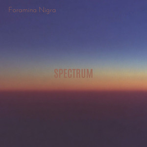 Spectrum by Foramina Nigra