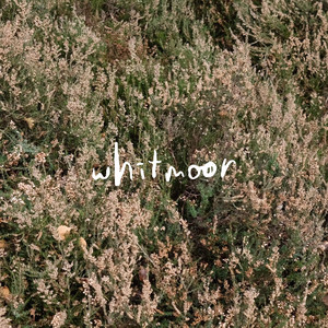 Closer by Whitmoor