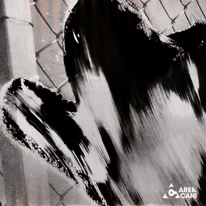 VIENE GIÙ LA RETE by Liffe, Barra1, Aleaka