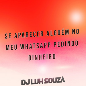 Dj Luh Souza - Se Aparecer Alguém no Meu Whatsapp Pedindo Dinheiro