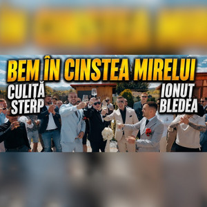 Bem în cinstea mirelui by Culita Sterp, Ionuț Bledea