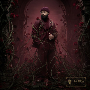 Mi Rosa album cover
