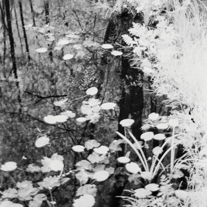 album cover: Hłybokaje / Čerbamysła
