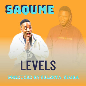 Levels