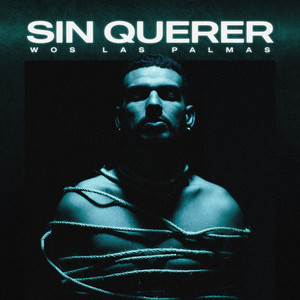 Sin querer (feat. Bluefire) by Wos LasPalmas, Bluefire