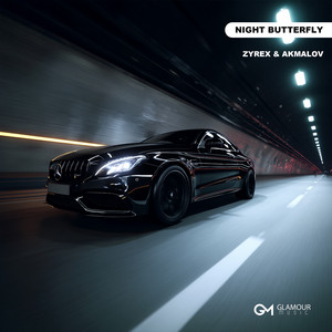 Night Butterfly by ZYREX, Akmalov