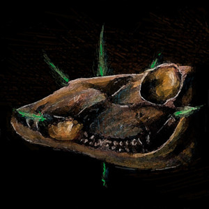 Celophys — Triassic Desert