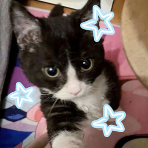 dreamsoda - I Wouldn't Mind (wterf11 Remix)