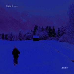Digital Dreams by Zaynix