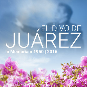 Querida by El Divo de Juárez