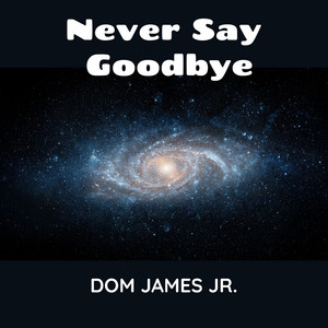 Never Say Goodbye by Dom James Jr.