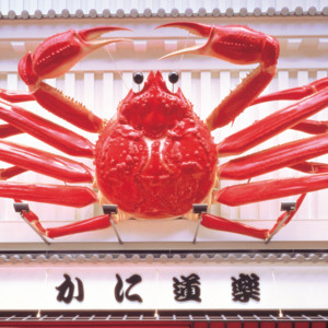 Duke Aces - Kani-Doraku Theme Song