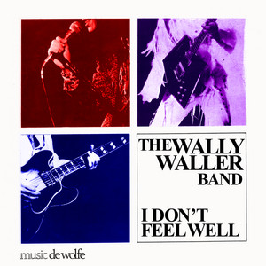 Living In The Real World - Instrumental