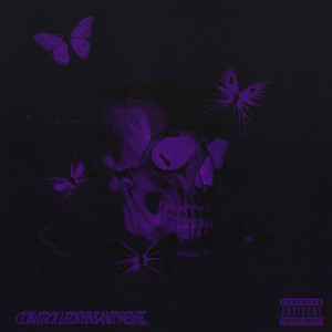 ControlledInsanity4ever