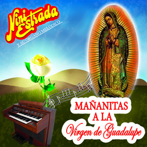 Nini Estrada Y Su Organo Melodico - La Guadalupana (Desde el Cielo)