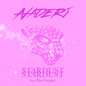 STARDUST