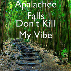 Don't Kill My Vibe by Apalachee Falls