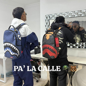 Cebra - PA LA CALLE (feat. Lil ch)