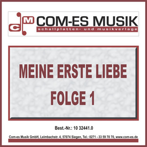 Dein ist mein ganzes Herz