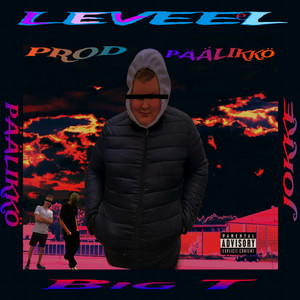 LEVEEL