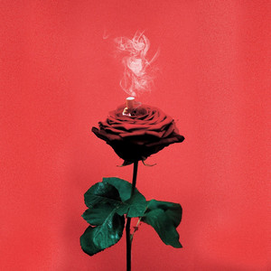 Bad Habit (feat. salute) by Salute cover art