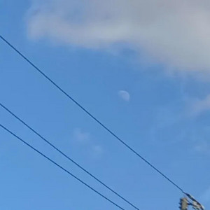 FREE