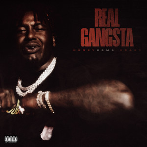 Real Gangsta by HoneyKomb Brazy