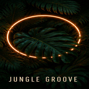 Jungle Groove by JaybProducer
