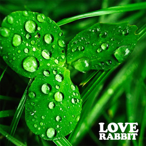 세잎클로버의 눈물 by Love Rabbit