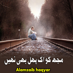 Alamzaib haqyar - مجھ کو اک پھل بھی نہیں