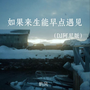 如果来生能早点遇见 - DJ阿尼版伴奏 by 屿风