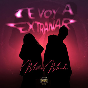 Ayer Te Soñé by Mister Mambo