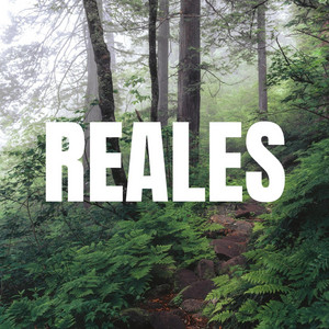 REALES by LOKASO