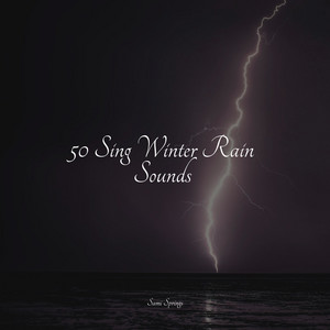 50 Sing Winter Rain Sounds album
