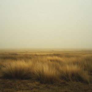Solace by Orren Vale