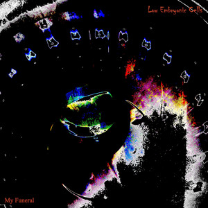 My Funeral by Low Embryonic Cells
