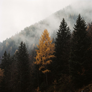 Lulling by Ambrenne