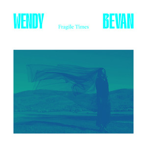 Fragile Times