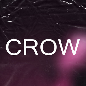 Crow by Maxi Beats