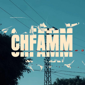 Saif sna - CHFAMM
