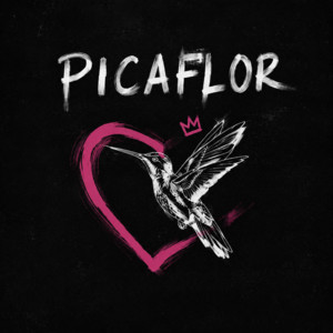 PICAFLOR by Pibito DM, beat noise
