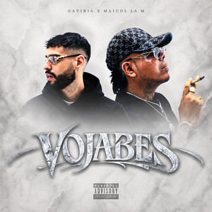 VOJABES