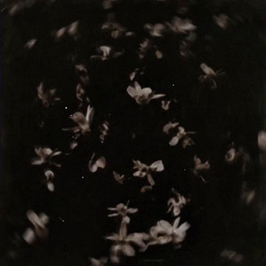 Badly by callan.