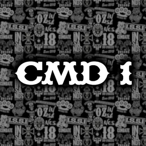 Comando um (Cmd 1 -Insanos Mc) by Insanos MC (Castro)