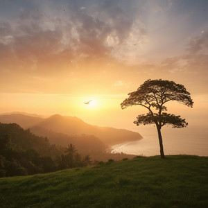 Sunrise Morning by HouseOfHouse