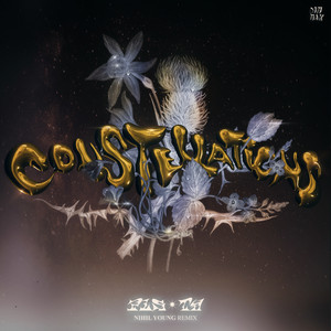 Constellations - Nihil Young Remix cover art