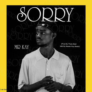 Mr Kay - Sorry