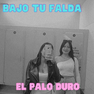 BAJO TU FALDA by EL PALO DURO